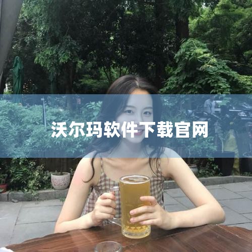 大哥，沃尔玛的系统可是不容易弄到的，据说沃尔玛的系统可以支持几十万种商品，管理数千平方米的卖场~给您推荐金亚进销存三合一套装，包括进销存、会员管理和POS零售，能够支持数万种商品，用户反映很不错，您可,