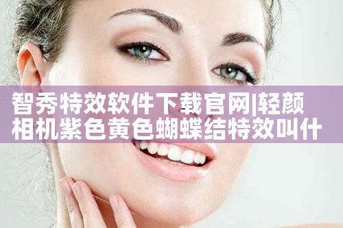 智秀特效软件下载官网