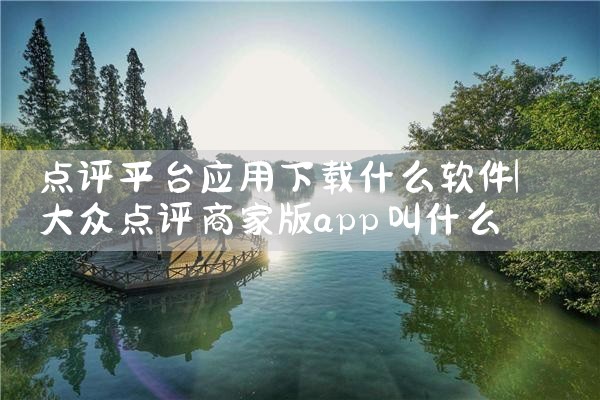 点评平台应用下载什么软件