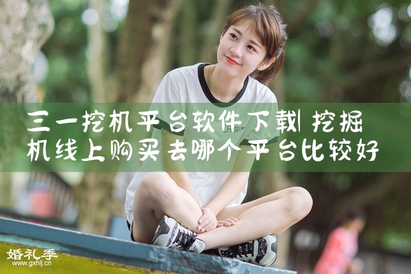三一挖机平台软件下载
