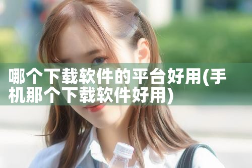 哪个下载软件的平台好用