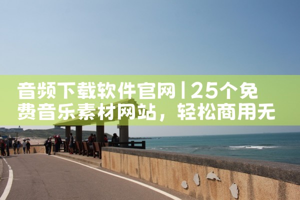 音频下载软件官网