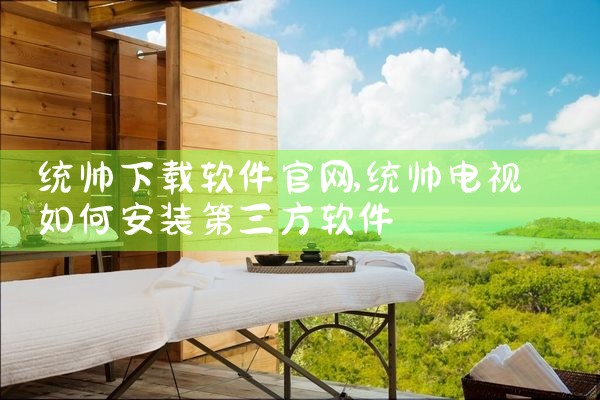 统帅下载软件官网