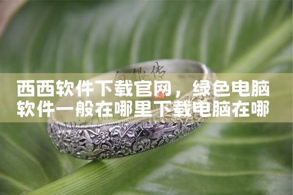 西西软件下载官网